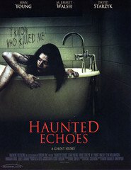 Another movie Haunted Echoes of the director Harry Bromley Davenport.