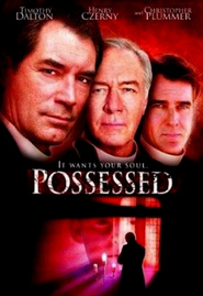 Another movie Possessed of the director Steven E. de Souza.