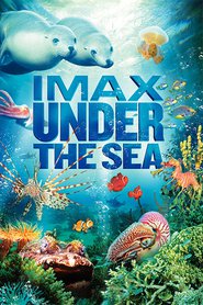 Another movie Under the Sea 3D of the director Howard Hall.