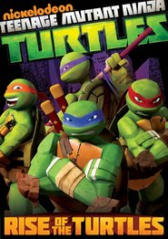 Another movie Teenage Mutant Ninja Turtles of the director Michael Chang.