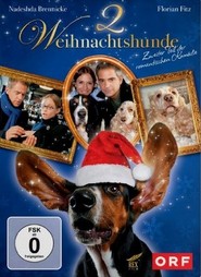 Another movie Zwei Weihnachtshunde of the director Lenard Fritts Kravinkel.