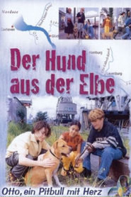 Another movie Der Hund aus der Elbe of the director Miko Zeuschner.