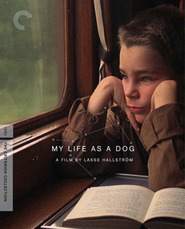 Another movie Mitt liv som hund of the director Lasse Hallstrom.