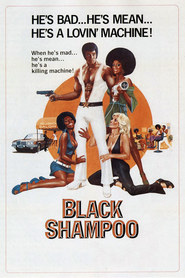 Another movie Black Shampoo of the director Greydon Clark.