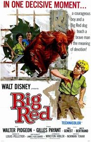 Another movie Big Red of the director Norman Tokar.