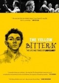 Another movie The Yellow Bittern of the director Alan Gilsenan.