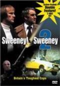 Another movie Sweeney! of the director David Wickes.
