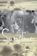 Another movie Sunflower of the director Cathy Ziehl.