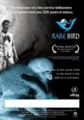 Another movie Rare Bird of the director Lyusinda Sperling.