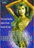 Another movie Cyberella: Forbidden Passions of the director Jackie Garth.