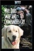 Another movie Why Dogs Smile & Chimpanzees Cry of the director Kerol L. Fleysher.