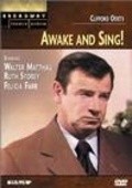 Another movie Awake and Sing of the director Robert Hopkins.