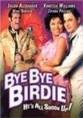 Another movie Bye Bye Birdie of the director Gene Saks.