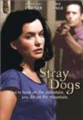 Another movie Stray Dogs of the director Catherine Crouch.