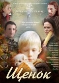 Another movie Schenok of the director Mariya Evstafeva.