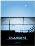 Another movie Ballhawks of the director Mayk Didrih.