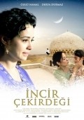 Another movie Incir cekirdegi of the director Selda Cicek.