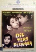 Another movie Dil Tera Diwana of the director B. Ramakrishnaiah Panthulu.