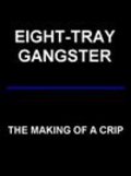 Another movie Eight-Tray Gangster: The Making of a Crip of the director Thomas Lee Wright.
