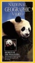 Another movie Secrets of the Wild Panda of the director Mark Stouffer.
