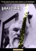 Another movie Brakhage of the director Jim Shedden.