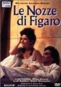Another movie Le nozze di Figaro of the director Mate Rabinovski.