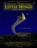 Another movie Little Wings of the director Morgan Rods.