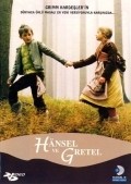 Another movie Hansel und Gretel of the director Anne Wild.