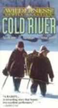 Another movie Cold River of the director Fred G. Sullivan.