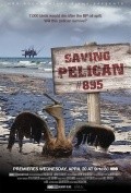 Another movie Saving Pelican 895 of the director Iren Teylor Brodski.