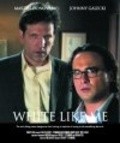 Another movie White Like Me of the director Gregory Fitzsimmons.
