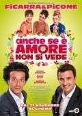 Another movie Anche se e amore non si vede of the director Ficarra.