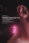 Another movie Where Moths Fly of the director Manuel Esparza.