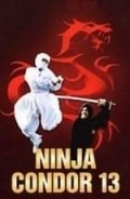 Another movie Ninjas, Condors 13 of the director Kuo-Ren Wu.