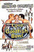 Another movie Love in a Goldfish Bowl of the director Jack Sher.