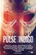 Another movie Pulse of the Indigo of the director Brent Conley.