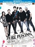 Another movie Pure Punjabi of the director Munish Sharma.