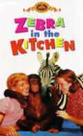 Another movie Zebra in the Kitchen of the director Ivan Tors.
