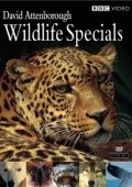 Another movie Wildlife Specials of the director Mike Beynon.