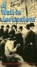 Another movie Un mur a Jerusalem of the director Albert Knobler.