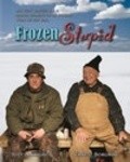 Another movie Frozen Stupid of the director Richard Brauer.