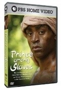 Another movie Prince Among Slaves of the director Andrea Kalin.