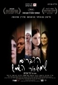 Another movie Things Behind the Sun of the director Yuval Shaferman.