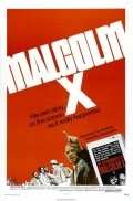 Another movie Malcolm X of the director Arnold Perl.