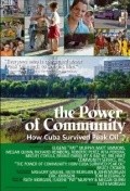 Another movie The Power of Community: How Cuba Survived Peak Oil of the director Feyt Morgan.