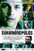 Another movie Zuhanorepules of the director Erik Novak.