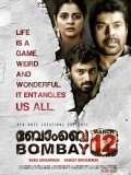 Another movie 1993 Bombay March 12 of the director Babu Janardanan.