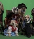 Another movie Heidi 4 Paws of the director Holly Goldberg Sloan.