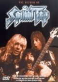Another movie A Spinal Tap Reunion: The 25th Anniversary London Sell-Out of the director Jim Di Bergi.