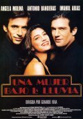 Another movie Una mujer bajo la lluvia of the director Gerardo Vera.